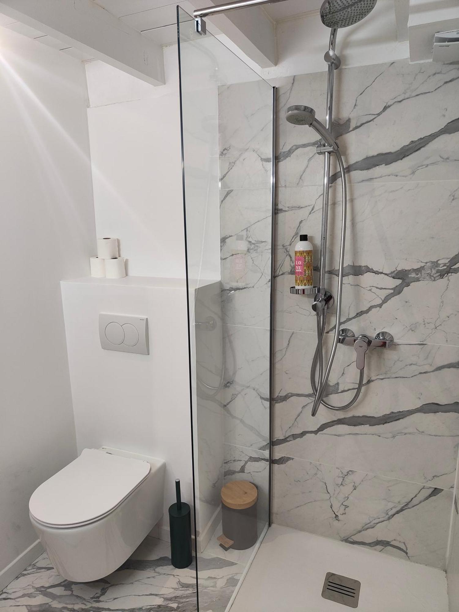Blanche-neige Clim Ile Verte Proche Hopital Apartment Grenoble