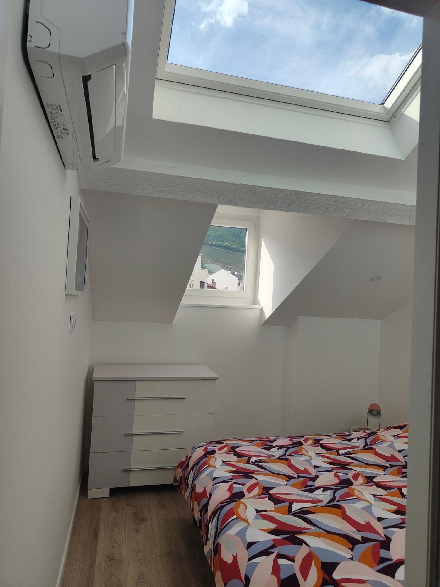 Appartement Blanche-neige Clim Ile Verte Proche Hopital *