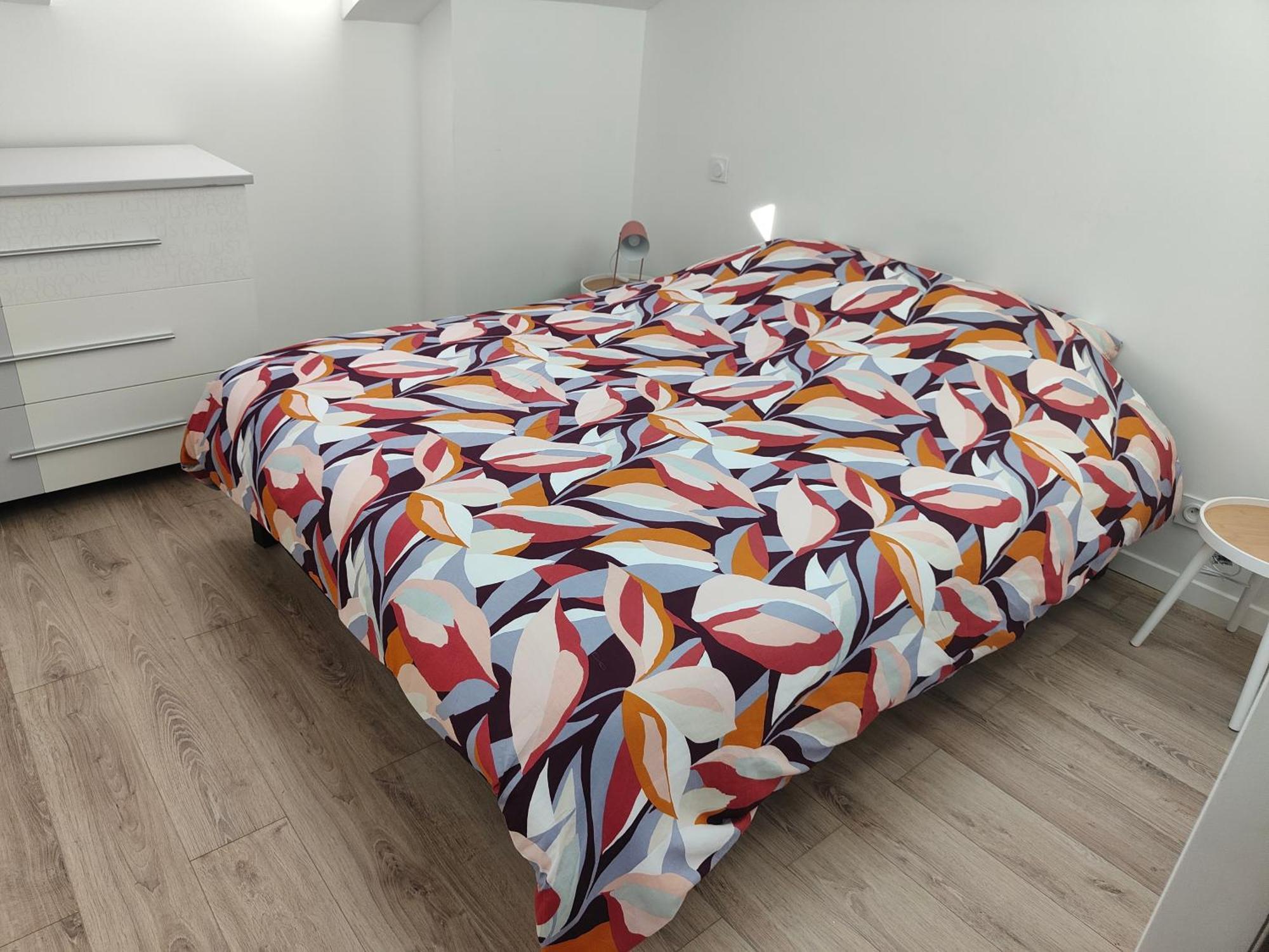 Appartement Blanche-neige Clim Ile Verte Proche Hopital Grenoble