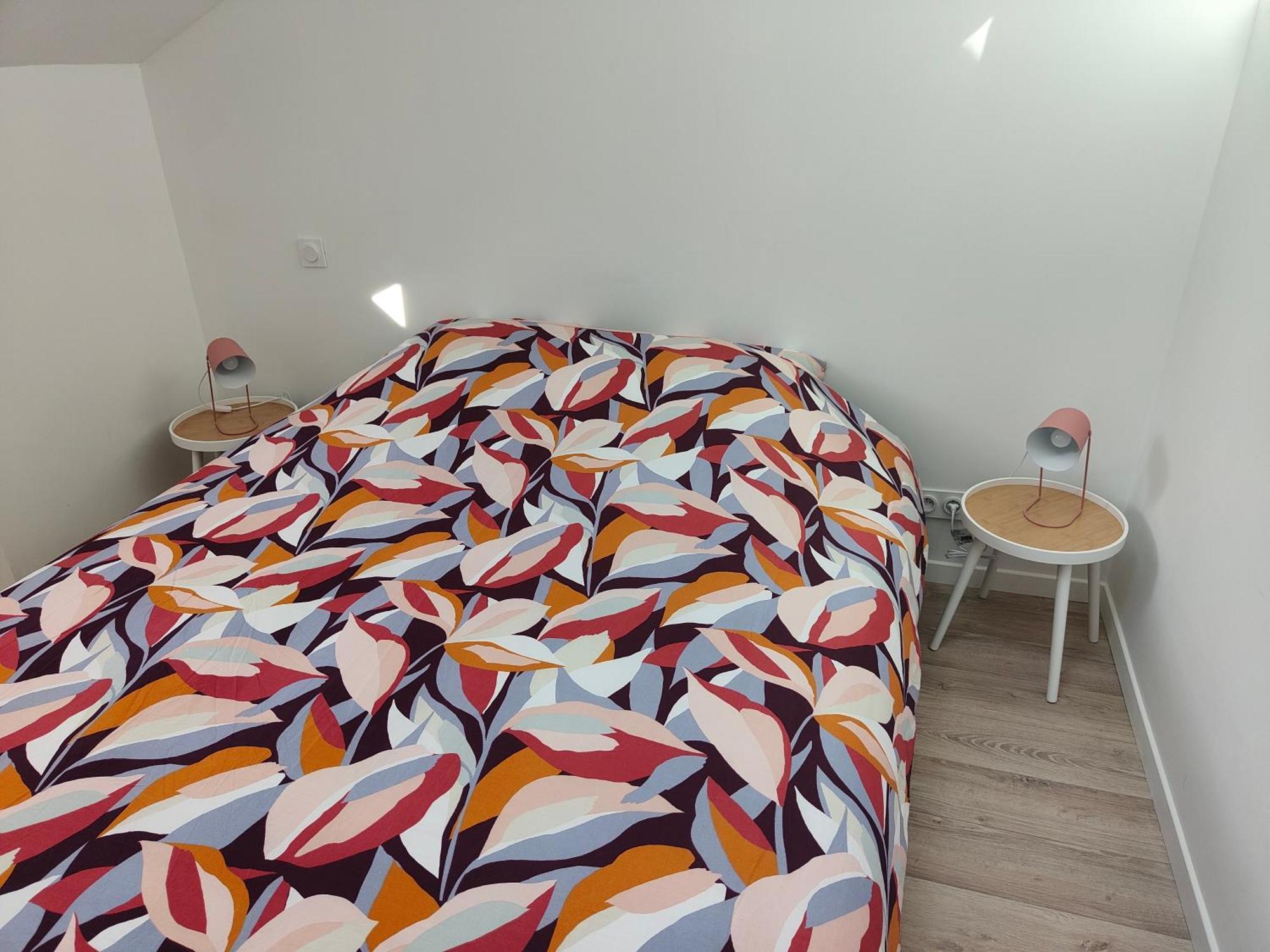 Appartement Blanche-neige Clim Ile Verte Proche Hopital Grenoble